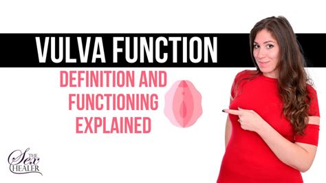 picture of vulva|Vulva: Location, Anatomy, Function, Conditions & Care .